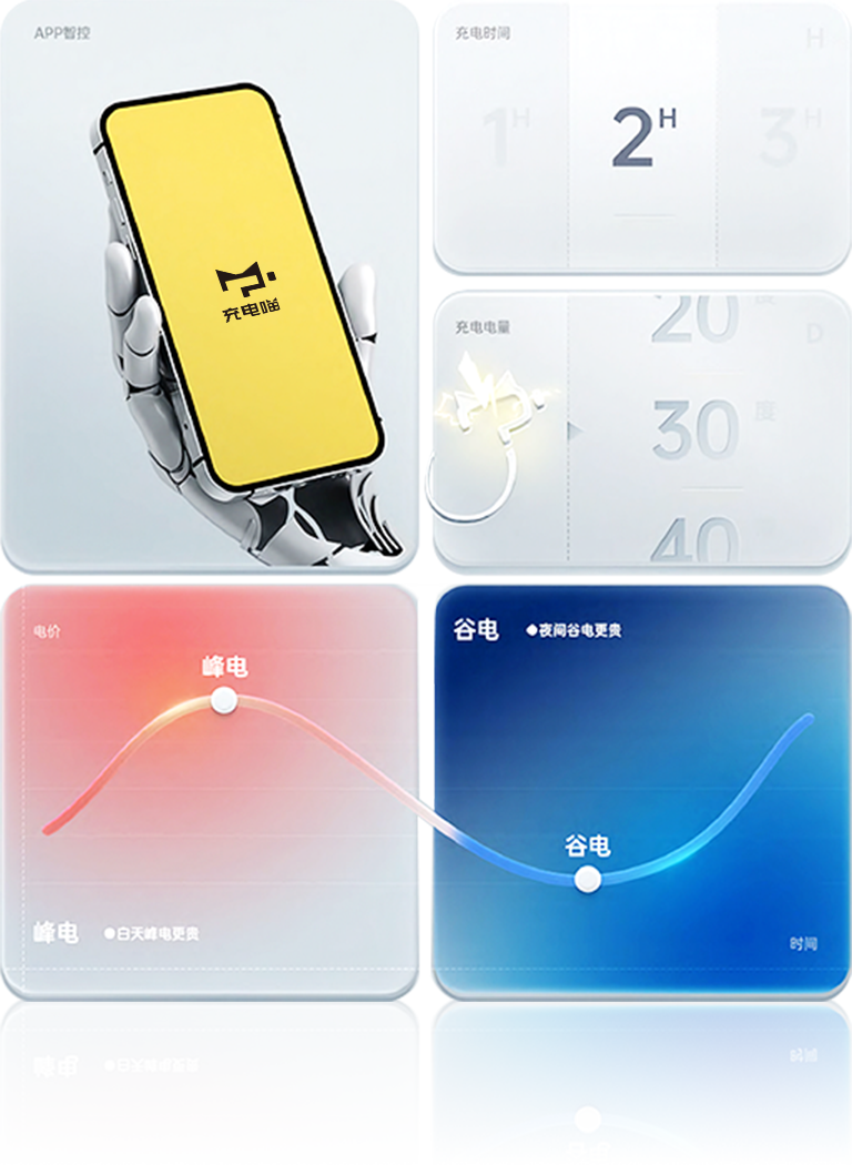 11.png